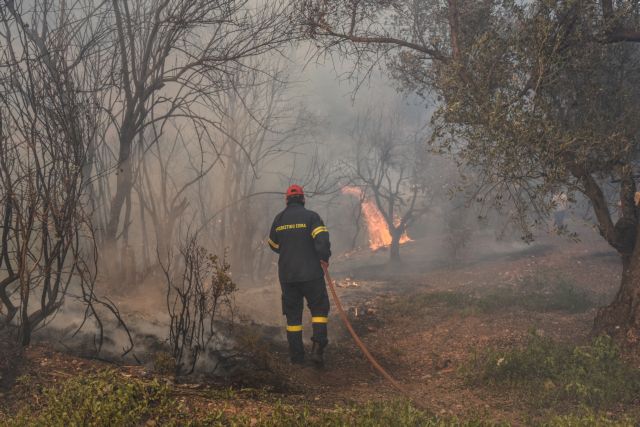 Εύβοια :Πάνω από 12.000 στρέμματα έχουν γίνει στάχτη