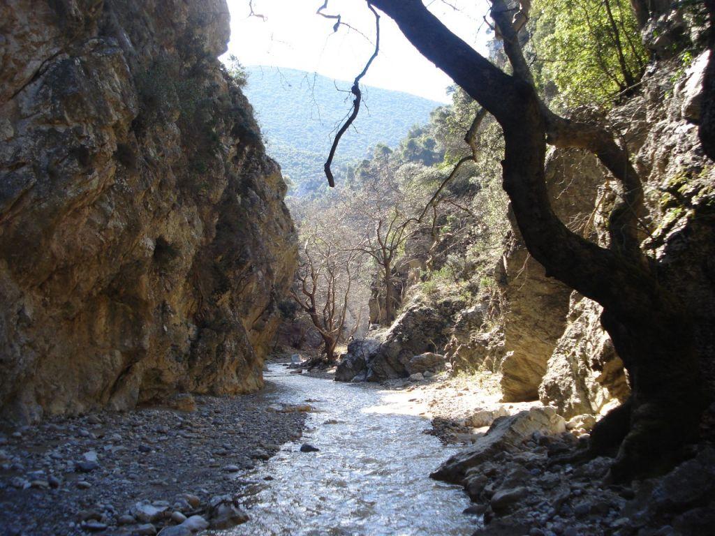 Απεγκλωβισμός 21χρονης από φαράγγι στη Φθιώτιδα