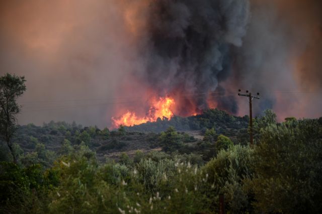 Υπό μερικό έλεγχο η πυρκαγιά στον Αγιο Στέφανο Αττικής