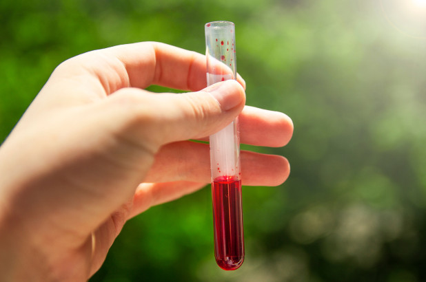 Εντερικά ένζυμα μετατρέπουν τις ομάδες αίματος Α και Β σε Ο