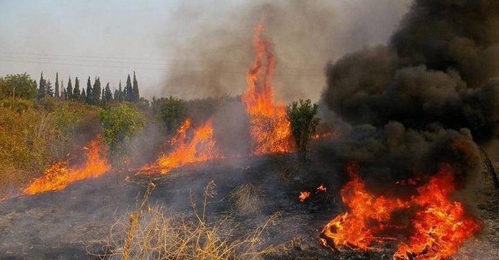 Οριοθετήθηκε η πυρκαγιά στον Πύργο – Δεν κινδυνεύει ο οικισμός Λέτρινα