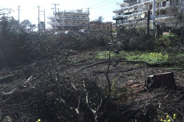 Μάτι : Τι συμβαίνει με την τοξική ρύπανση