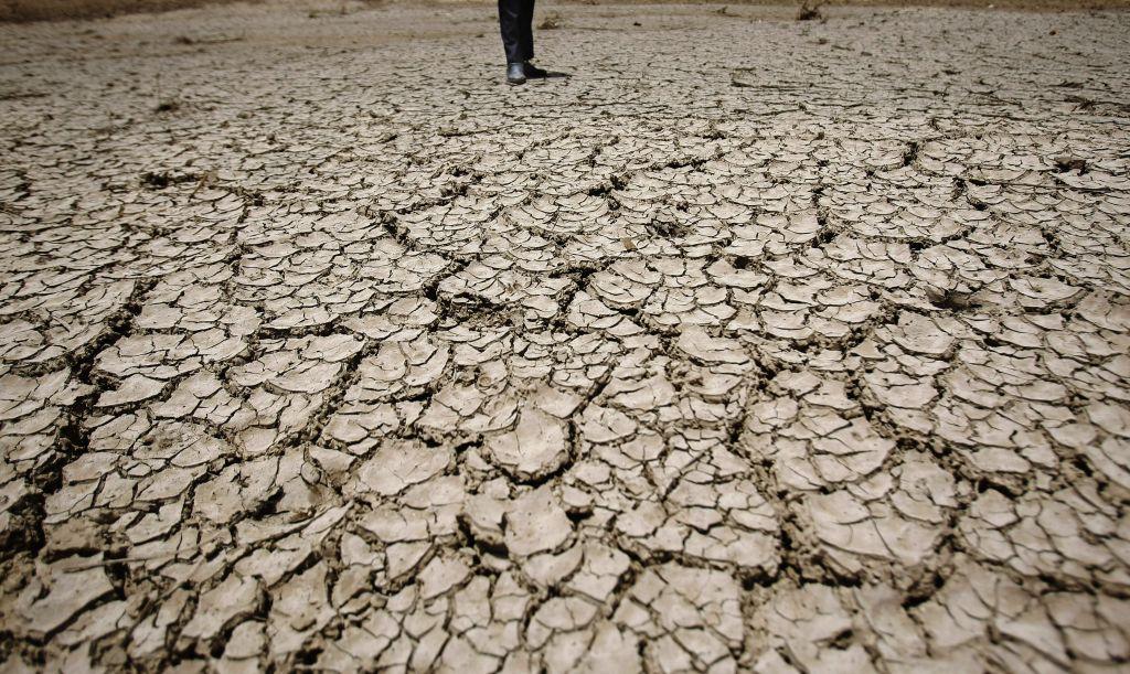 Παγκόσμια Ημέρα για την καταπολέμηση της απερήμωσης και της ξηρασίας