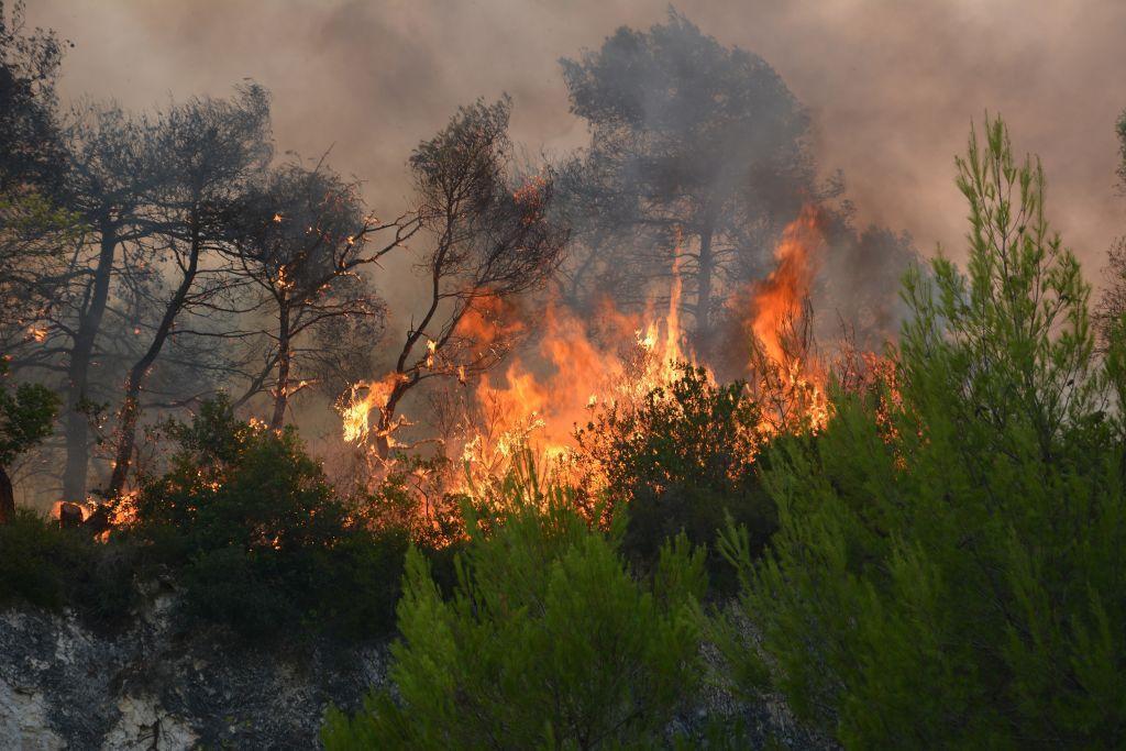 Πυρκαγιά στο Πευκί Εύβοιας