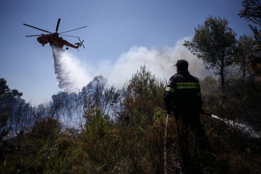 Πυρκαγιά στην περιοχή Παλαιομάνινα Αιτωλοακαρνανίας