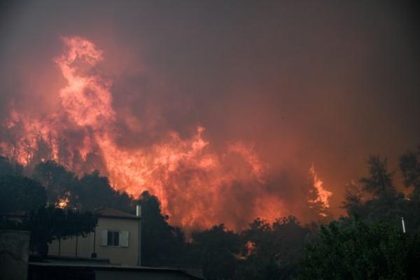 Πύρινη λαίλαπα στην Εύβοια: Χωριά παραδόθηκαν στις φλόγες, δύσκολο το έργο των εναέριων μέσων | in.gr