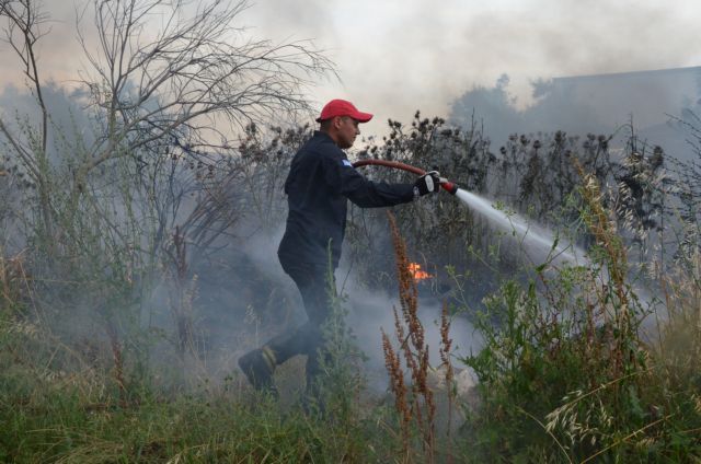 Πυρκαγιές σε Θεσπρωτία, Κέρκυρα και Καβάλα