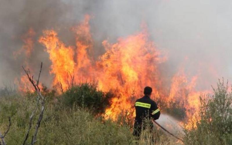 Μαίνεται φωτιά και στα Καλάβρυτα – Συναγερμός στην Πυροσβεστική