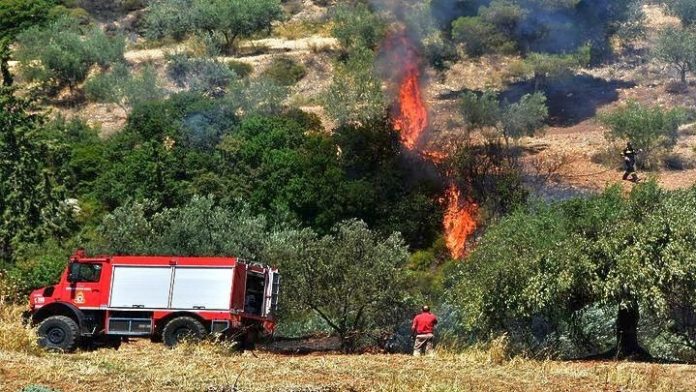 Φωτιά στην Πεντέλη – Συναγερμός στην Πυροσβεστική