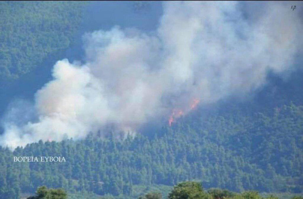 Eκπρόσωπος Πυροσβεστικής στο One Channel: Δημιουργείται αντιπυρικό ανάχωμα λίγο πριν τα Ψαχνά