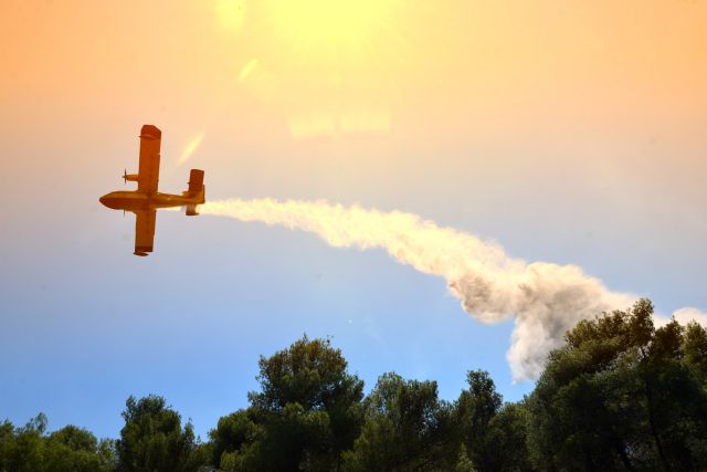 Î£Îµ ÏÏ†ÎµÏƒÎ· Î· Ï†Ï‰Ï„Î¹Î¬ ÏƒÏ„Î¿ Î›Î±Î³Î¿Î½Î®ÏƒÎ¹ â€“ Î Î­ÏÎ±ÏƒÎµ Î±Î½Î¬Î¼ÎµÏƒÎ± ÏƒÏ„Î¹Ï‚ Î±Ï…Î»Î­Ï‚ Ï„Ï‰Î½ ÏƒÏ€Î¹Ï„Î¹ÏŽÎ½ | in.gr