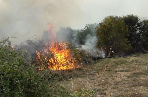 Υψηλός κίνδυνος πυρκαγιάς σήμερα – Οι περιοχές