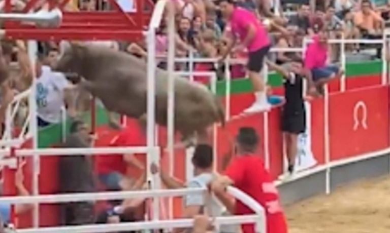 Ισπανία: Τρομακτική σκηνή με ταύρο να πηδάει από την αρένα στην εξέδρα