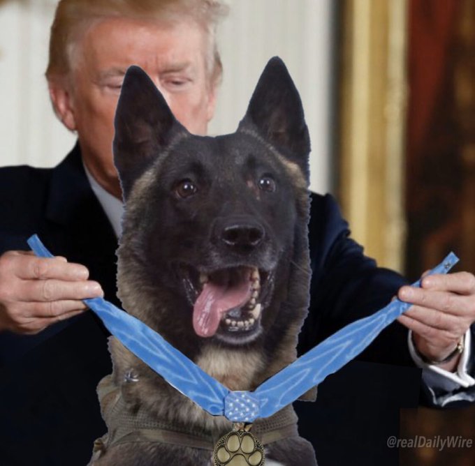 Τραμπ : Με... photoshop έδωσε το μετάλλιο «πατουσάκι» στον σκύλο - ήρωα