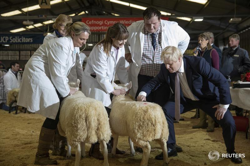 Μπόρις Τζόνσον :  Κούρεψε πρόβατα και επισκέφτηκε ζωοπανήγυρη