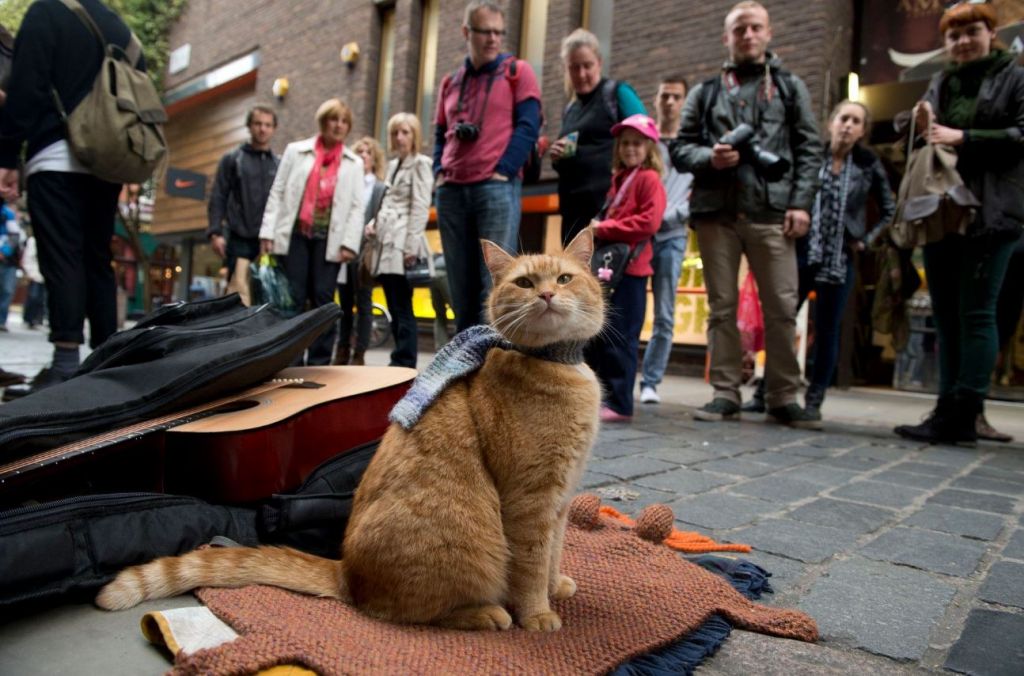 Πέθανε «ο γάτος που τον έλεγαν Μπομπ» -Έσωσε τον τοξικομανή ιδιοκτήτη του και έγινε best seller