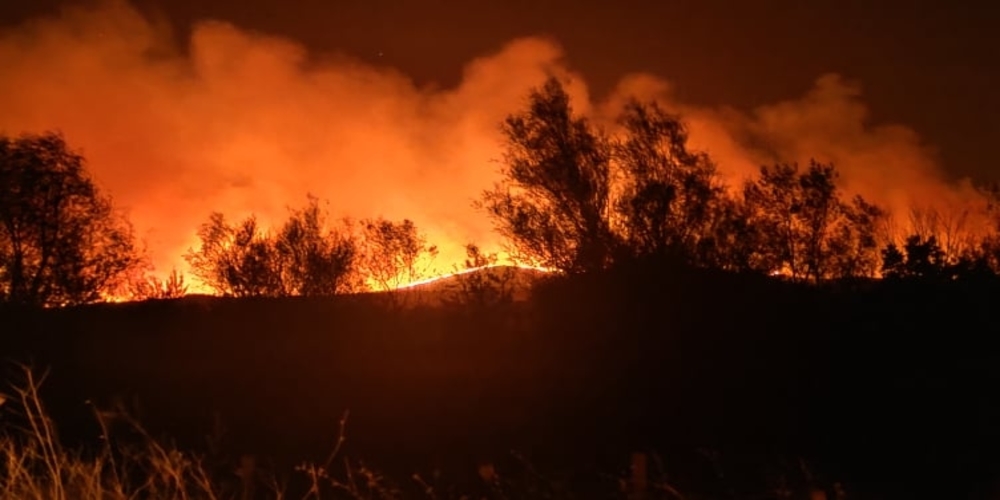 Έβρος: Οργανωμένο σχέδιο εμπρησμών εξετάζουν οι αρχές – 15 φωτιές το τελευταίο 48ωρο