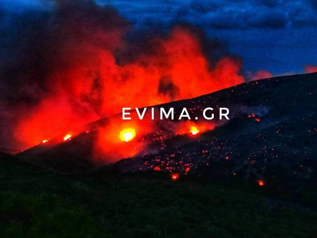 Εύβοια: Μεγάλη φωτιά στο Ρεούζι – Καίει δάσος