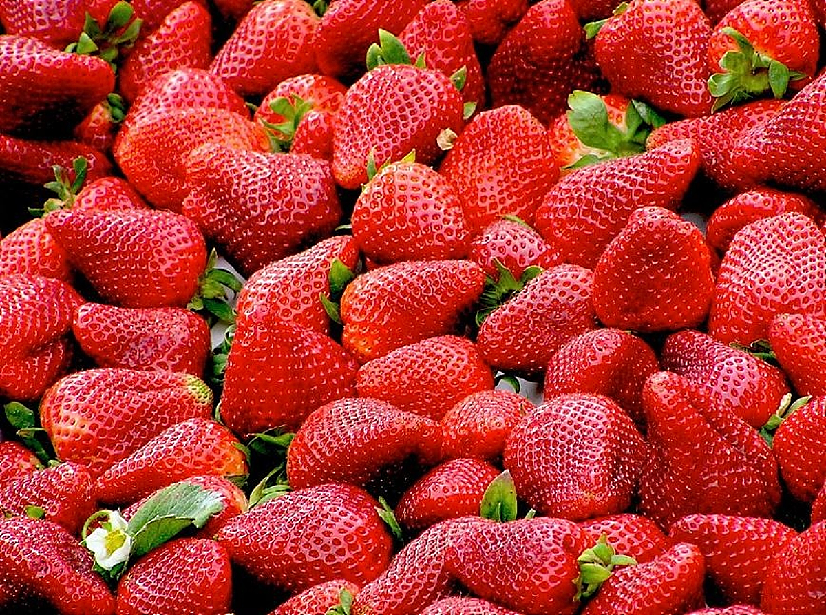 Φράουλες : Οι καλύτεροι τρόποι για τις διατηρήσετε για καιρό
