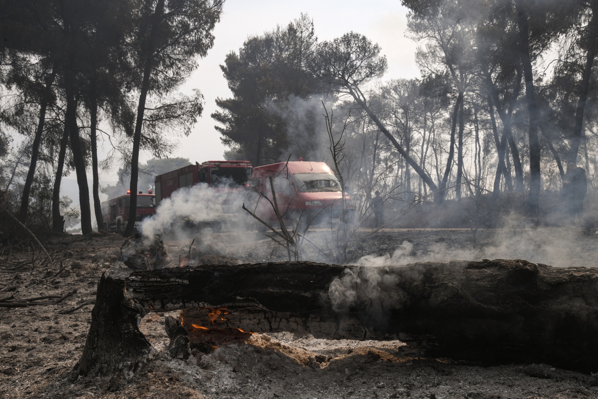 Γεράνεια Όρη: Σε ύφεση η πυρκαγιά, παραμένουν διάσπαρτες εστίες - Απόγνωση στα αποκαΐδια για τους κατοίκους