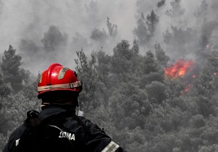 Βίλια – Κάηκαν σπίτια – Εκκενώθηκαν δύο οικισμοί- Καταγγελίες εμπρησμού