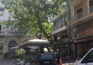 Αθήνα – Το δέντρο που «τρομοκράτησε» Πάιατ και Μενέντεζ – Νέες φωτογραφίες από την ώρα της πτώσης