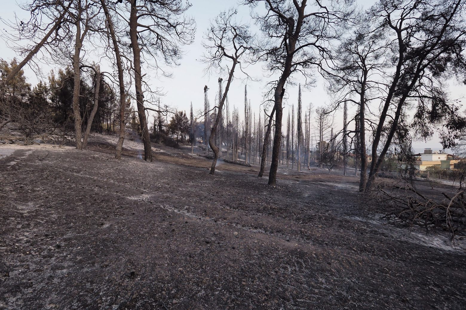 Δήμαρχος Ιστιαίας - Η χειρότερη πυρκαγιά του αιώνα στην Εύβοια - Έκκληση για εναέρια μέσα
