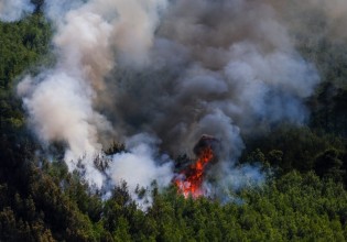 Φωτιές – 45 δασικές πυρκαγιές εκδηλώθηκαν το τελευταίο 24ωρο σε όλη την Ελλάδα
