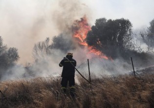 Υπό μερικό έλεγχο η πυρκαγιά στο Μαρκόπουλο Αττικής