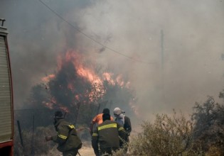 Εύβοια – Βελτιωμένη η εικόνα της πυρκαγιάς στην Κάρυστο – Ανησυχία για τις αναζωπυρώσεις