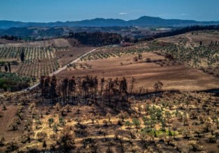 Φωτιές – Απαλλάσσονται από τον ΕΝΦΙΑ και τα αγροτεμάχια που καταστράφηκαν από τις πυρκαγιές