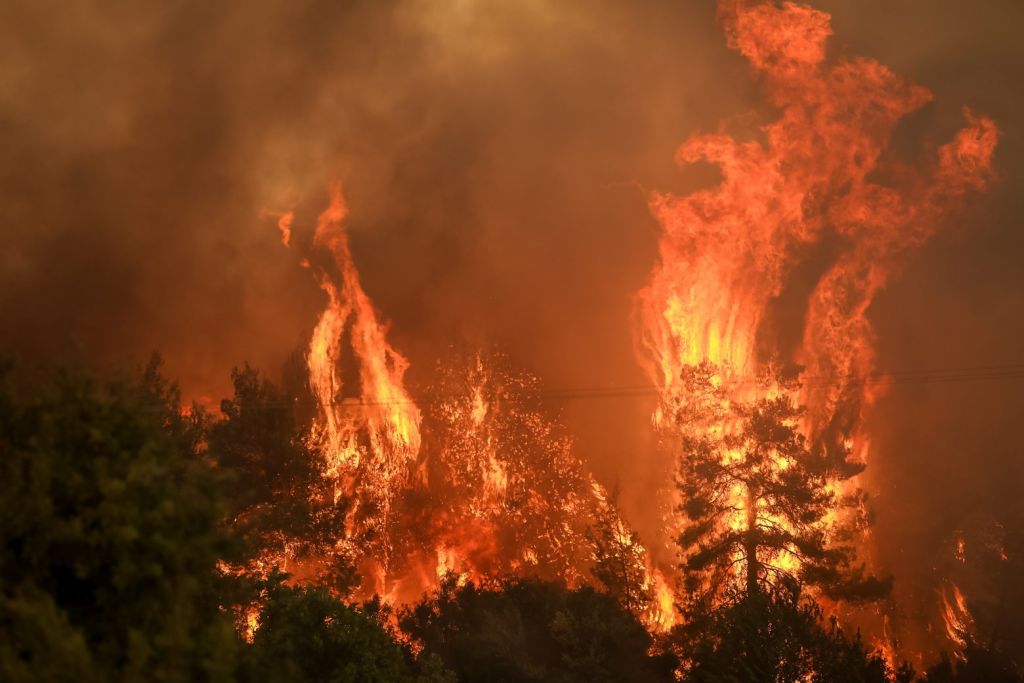 Φωτιά στην Αττική – Κινδυνεύουν σπίτια στο Κρυονέρι και τον Άγιο Στέφανο
