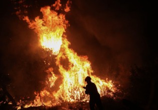 Φωτιά στη Νέα Μάκρη – Με το φως της ημέρας θα αποκαλυφθεί η έκταση της καταστροφής – Υποψίες για εμπρησμό