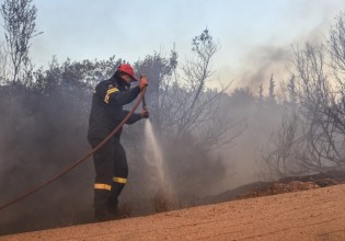 Φωτιά στην Ηλεία – Καίει δασική έκταση σε δύσβατη περιοχή