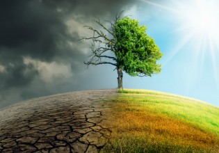 Κλιματική Αλλαγή – Σχεδόν το ένα στα τρία είδη δέντρων κινδυνεύουν με εξαφάνιση