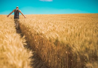 ΟΠΕΚΕΠΕ  – Πώς θα γίνει ο διοικητικός έλεγχος στους νέους αγρότες