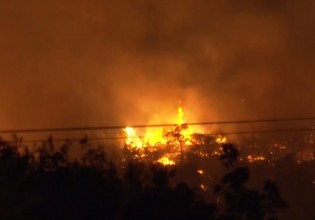 Νέα Μάκρη – Τέσσερις πυρκαγιές εκδηλώθηκαν ταυτόχρονα το βράδυ της Δευτέρας