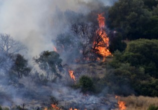 Έρευνα – Πάνω από 33.000 θάνατοι ετησίως συνδεόνται με τη ρύπανση του αέρα από τις δασικές πυρκαγιές