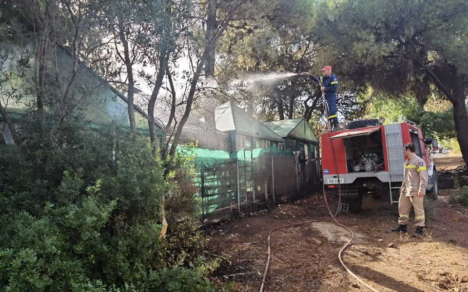 Δήμαρχος Μαραθώνα: Ευχαριστώ όσους συνέβαλλαν στη κατάσβεση της πυρκαγιάς