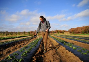 Νέοι αγρότες – Αρχές Οκτώβρη το νέο πρόγραμμα ύψους 450 εκατ. ευρώ