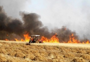 Πως θα χορηγείται η αποζημίωση στις αγροτικές εκμεταλλεύσεις που επλήγησαν από τις πυρκαγιές