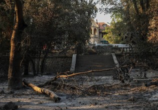 Το Τατόι μετά τις φωτιές – Ο απολογισμός, τα σχέδια και το στοίχημα
