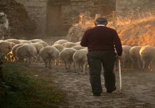 Επαναξιολόγηση πυρόπληκτων αγροκτηνοτρόφων που εξαιρούνται της κρατικής αρωγής