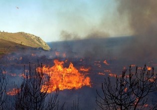 Αγροτικές εκμεταλλεύσεις – Πήρε ΦΕΚ η αποζημίωση από τις πυρκαγιές