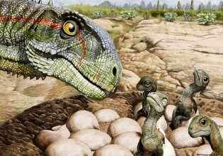 Απολιθώματα στην Αργεντινή αποκαλύπτουν την τρυφερή πλευρά των δεινοσαύρων