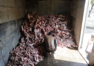 Βραζιλία – Ακραία πείνα και εξαθλίωση στη χώρα – Άνθρωποι αναζητούν τροφή ανάμεσα σε σφάγια ζώων