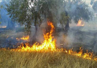 Έρχονται οι αποζημιώσεις στους πληγέντες από τις πυρκαγιές αγρότες