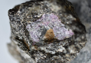 Ίχνη ζωής βρέθηκαν μέσα σε ρουμπίνι 2,5 δισεκατομμυρίων ετών