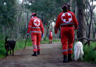 Παγκόσμια Ημέρα Ζώων – Ο Ελληνικός Ερυθρός Σταυρός υποστηρίζει τα αδέσποτα της Αθήνας