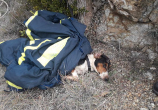 Σκύλος έπεσε σε πηγάδι 20 μέτρων στην Κοζάνη και διασώθηκε από την ΕΜΑΚ